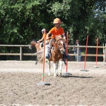  Pony Games - Rovigo - 18 Maggio 2014