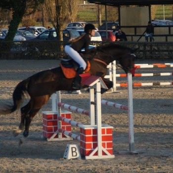 C.I. Cristallo - Salto ostacoli