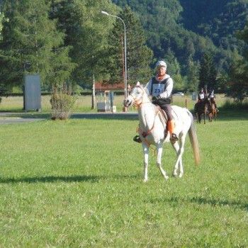 Endurance - Ferlach, Austria - 31 maggio 2014