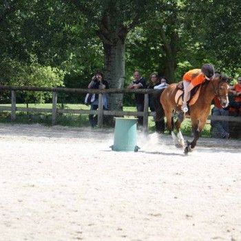  Pony Games - Rovigo - 18 Maggio 2014