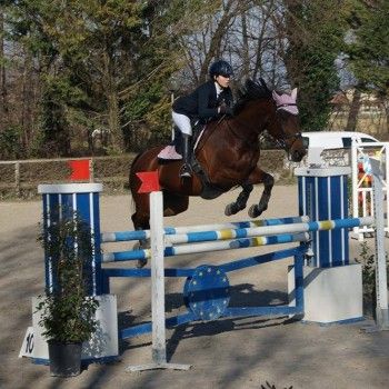 C.I. Cristallo - Salto ostacoli