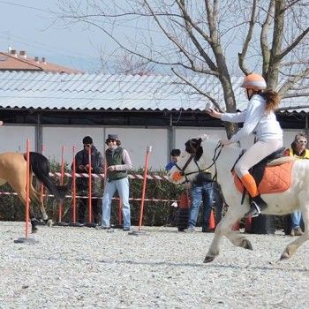 Pony Games -Trofeo 4 Regioni - Sommacampagna 28-02+01-03