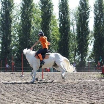 Pony Games - Rovigo - 18 Maggio 2014