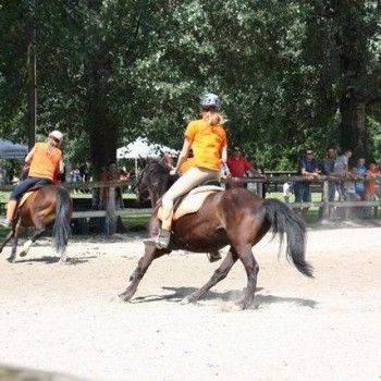  Pony Games - Rovigo - 18 Maggio 2014