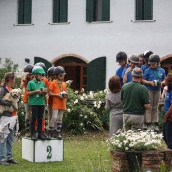  Pony Games - Rovigo - 18 Maggio 2014