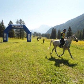Endurance - Falcade 8 giugno 2014