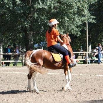  Pony Games - Rovigo - 18 Maggio 2014
