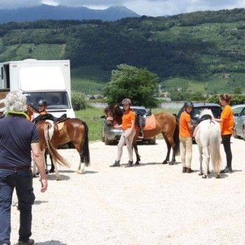 Salto Ostacoli -Pieve di Soligo 13 luglio 2014