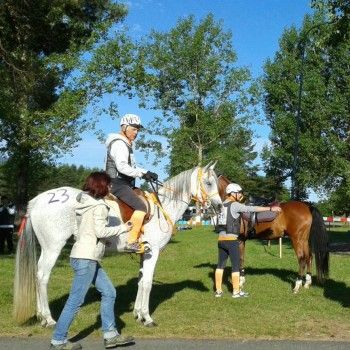 Endurance - Ferlach, Austria - 31 maggio 2014