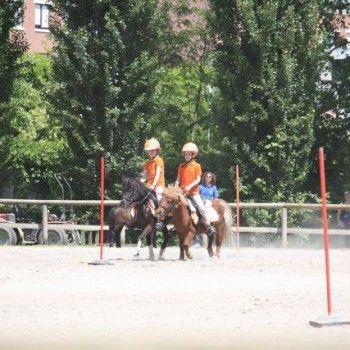  Pony Games - Rovigo - 18 Maggio 2014