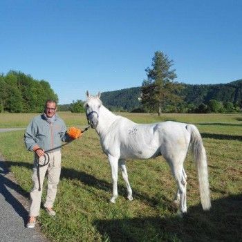 Endurance - Ferlach, Austria - 31 maggio 2014