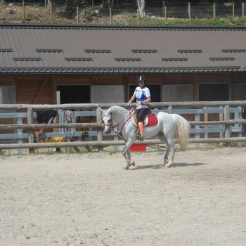 Endurance - Vattaro 20 luglio 2014
