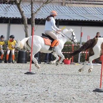 Pony Games -Trofeo 4 Regioni - Sommacampagna 28-02+01-03