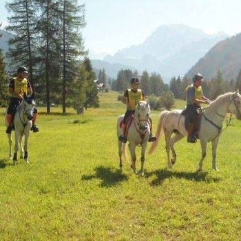 Endurance - Falcade 8 giugno 2014