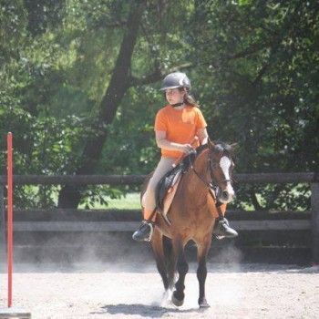  Pony Games - Rovigo - 18 Maggio 2014