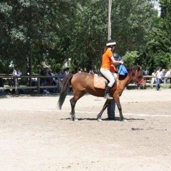  Pony Games - Rovigo - 18 Maggio 2014