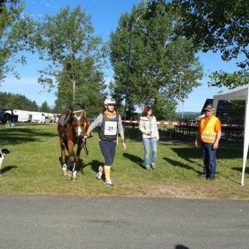 Endurance - Ferlach, Austria - 31 maggio 2014