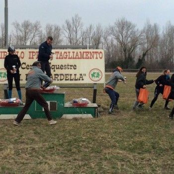 Endurance San Vito - 1 marzo 2015.
