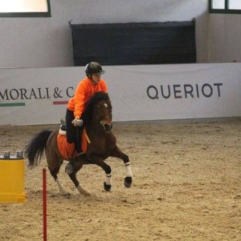 Pony Games - Trofeo 4 Regioni -Vermezzo (MI) 11-13 marzo 2016