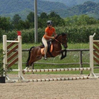 Salto Ostacoli -Pieve di Soligo 13 luglio 2014