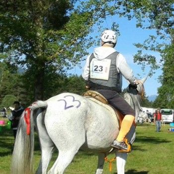 Endurance - Ferlach, Austria - 31 maggio 2014