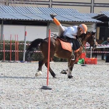Pony Games -Trofeo 4 Regioni - Sommacampagna 28-02+01-03