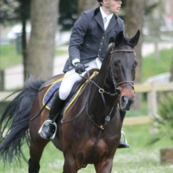 COMPLETO INTERNAZIONALE CCI1* - Ravenna.