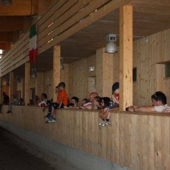 8 Giugno 2014 - Festa di Inizio Estate