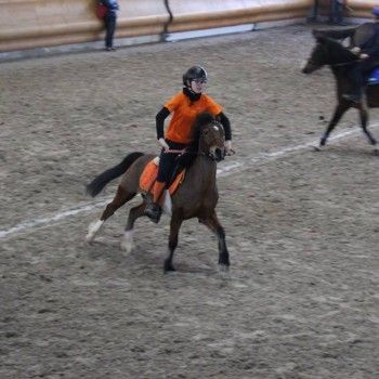Pony Games -Trofeo 4 Regioni - Sommacampagna 28-02+01-03