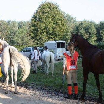 Endurance Sacile 21 settembre 2014