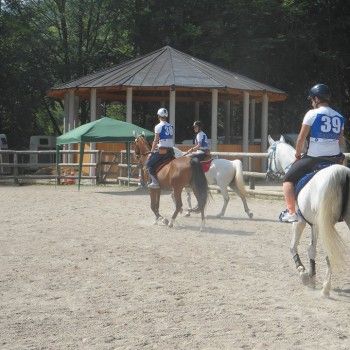 Endurance - Vattaro 20 luglio 2014