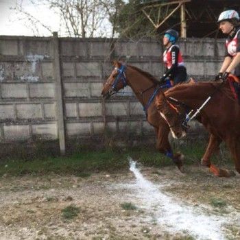 Endurance -Vivaro 20 marzo 2016