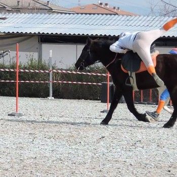 Pony Games -Trofeo 4 Regioni - Sommacampagna 28-02+01-03