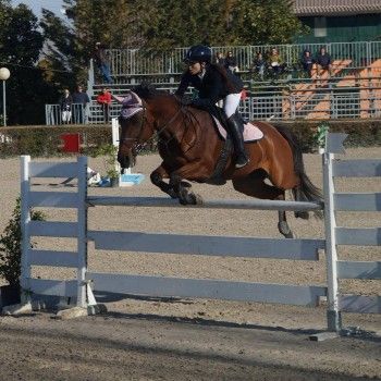 C.I. Cristallo - Salto ostacoli