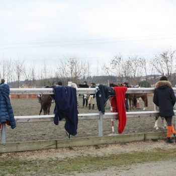 Domenica intensa all'Articolo V !!!!!!