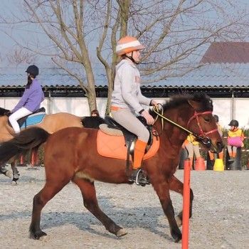 Pony Games -Trofeo 4 Regioni - Sommacampagna 28-02+01-03