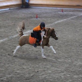 Pony Games -Trofeo 4 Regioni - Sommacampagna 28-02+01-03