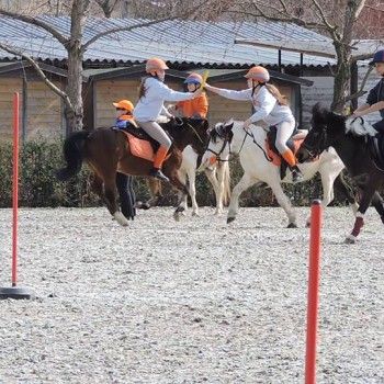 Pony Games -Trofeo 4 Regioni - Sommacampagna 28-02+01-03