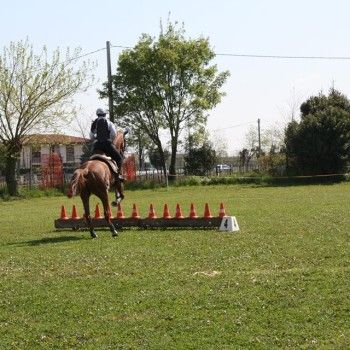 Domenica 19 aprile 2015 - Ministage Cross e Salto.