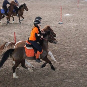 Pony Games -Trofeo 4 Regioni - Sommacampagna 28-02+01-03