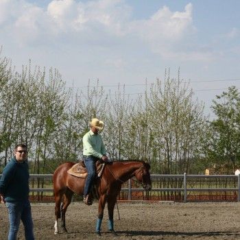 Western Riding 23-25 aprile 2015