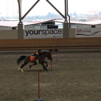 Pony Games -Trofeo 4 Regioni - Sommacampagna 28-02+01-03