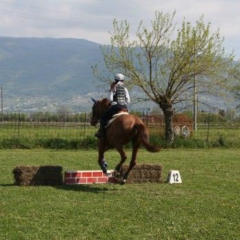 Domenica 19 aprile 2015 - Ministage Cross e Salto.
