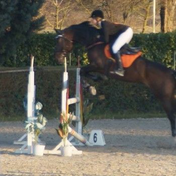 C.I. Cristallo - Salto ostacoli