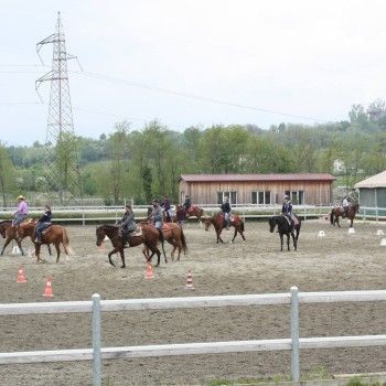 Western Riding 23-25 aprile 2015