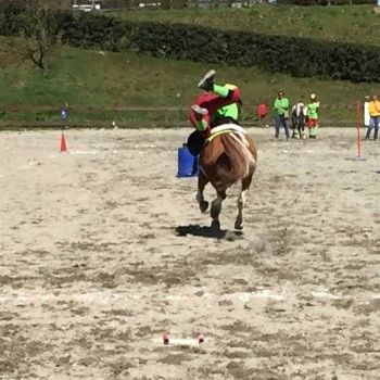 Istres - Francia - Coppa Europa di Mounted Games. 