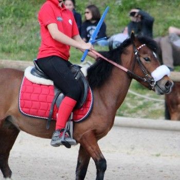 Istres - Francia - Coppa Europa di Mounted Games. 