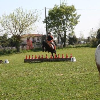 Domenica 19 aprile 2015 - Ministage Cross e Salto.
