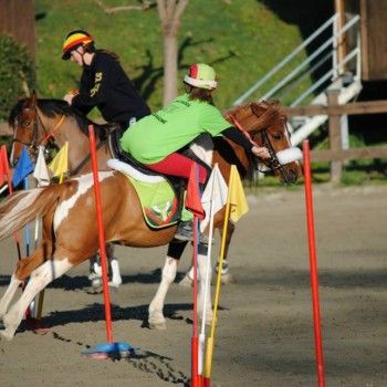 Istres - Francia - Coppa Europa di Mounted Games. 