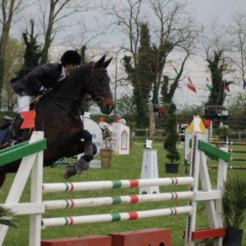 COMPLETO INTERNAZIONALE CCI1* - Ravenna.